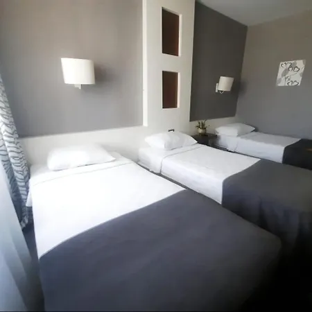 Hotel Dedepark 3*
